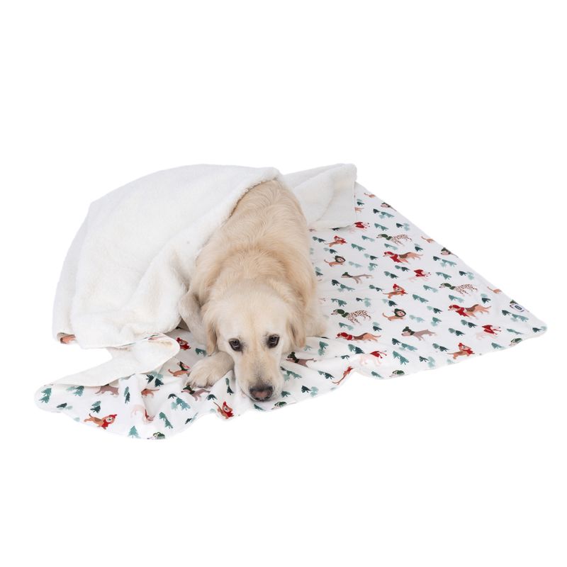 TIAKI Fun Winter Blanket for Dogs Set: Blanket for Dogs & Dog Pawrents