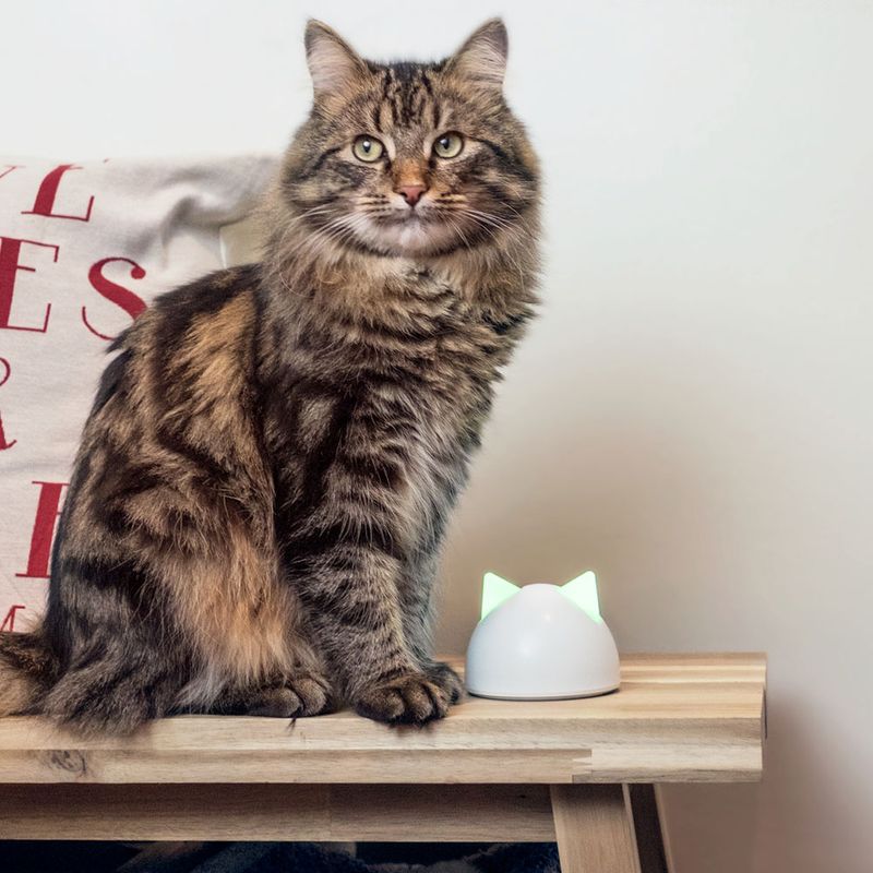 SureFlap Microchip Pet Door Connect White Pet Door