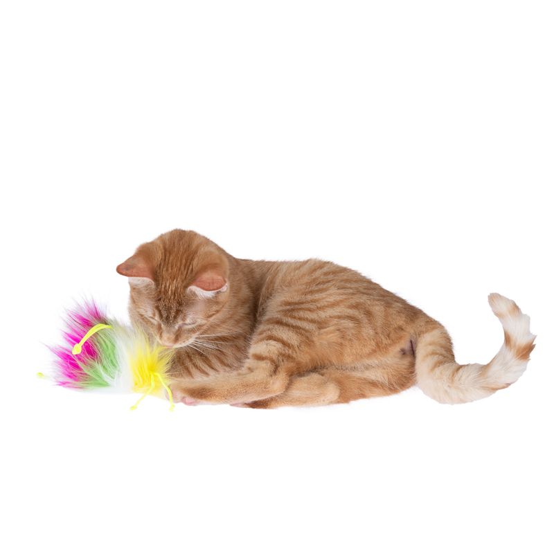 TIAKI Rainbow Monster Cat Toy 1 Toy