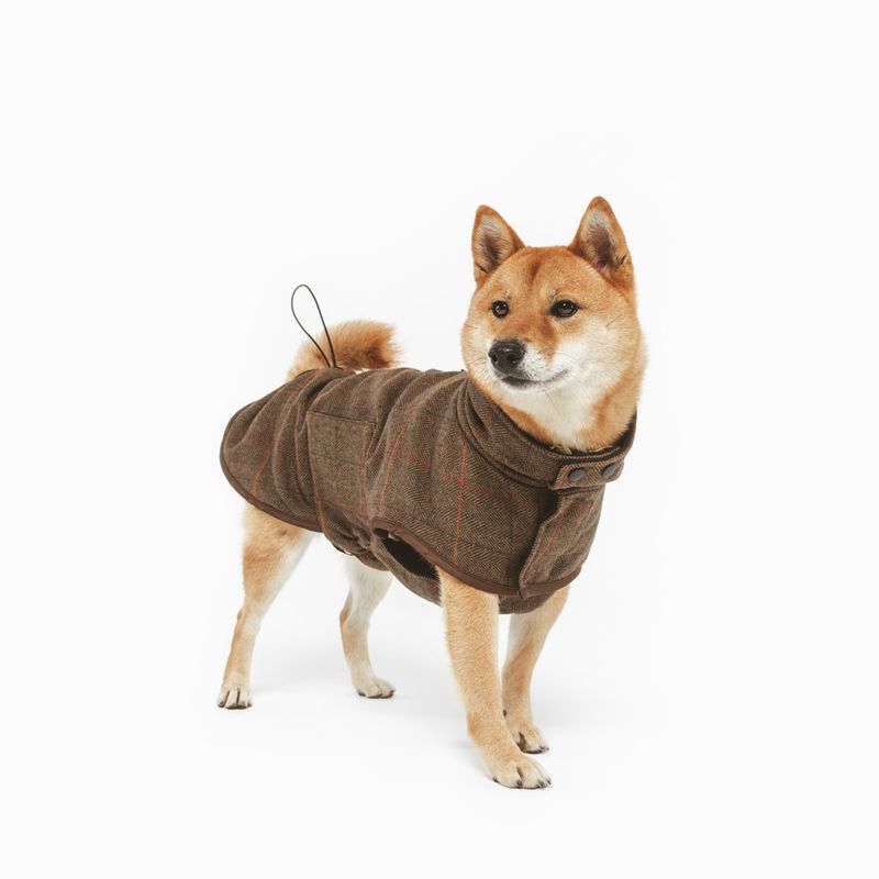 Nomad Tales Bloom Tartan Dog Coat Back length: approx. 35cm