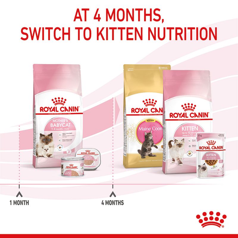 Royal Canin Mother & Babycat 400g