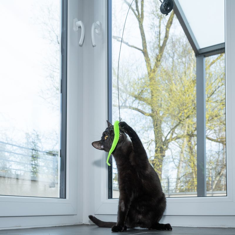 zooplus Basics 4-in-1 Interactive Cat Toy Dangler (95cm), 4 Attachments (each 15cm)