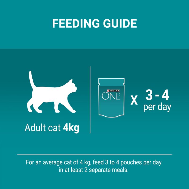 PURINA ONE Coat & Hairball with Chicken & Green Beans (26 x 85g)