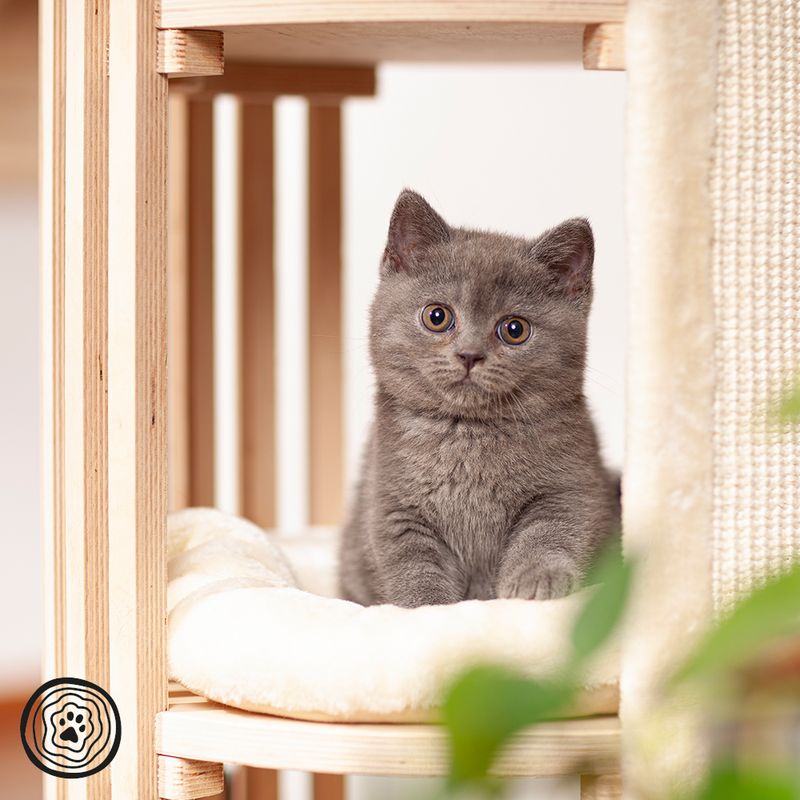 Natural Paradise Scratching Barrel - Lily S Cream