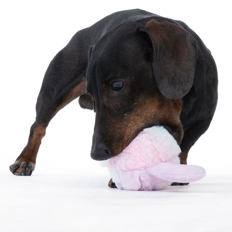 TIAKI Unicorn Kitten Stretch Ball diameter 18cm