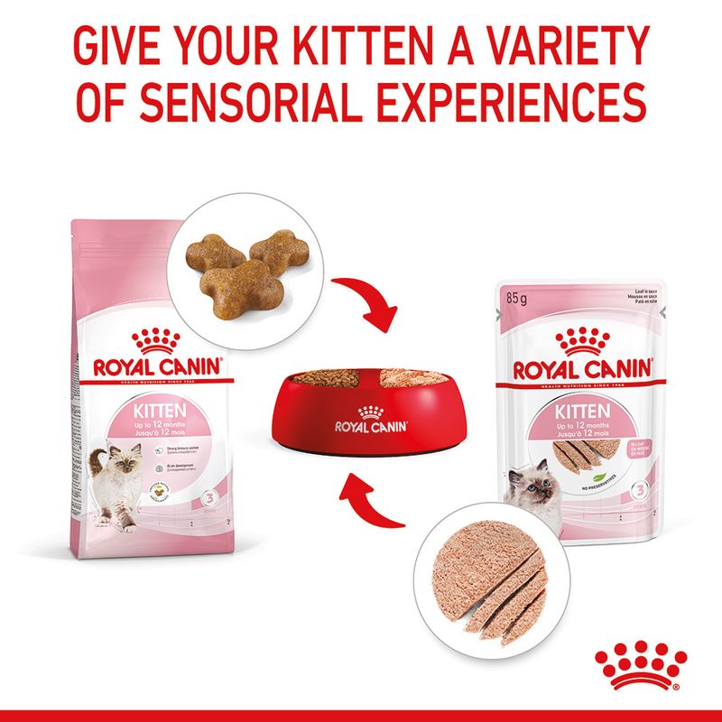 Royal Canin Kitten in Loaf 12 x 85g