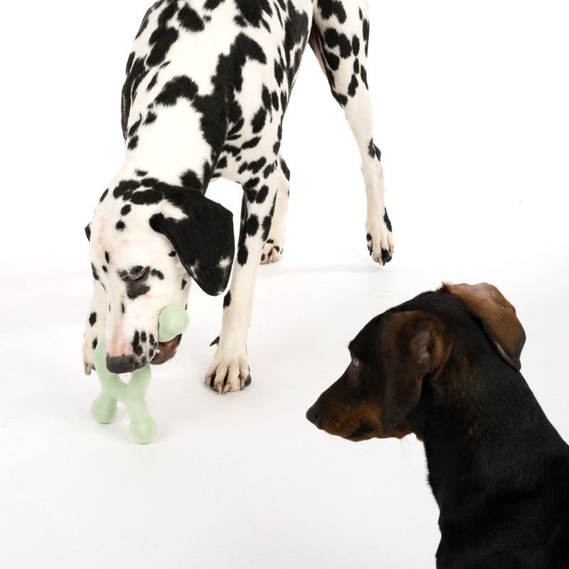 Nomad Tales Bloom Dog Toy Molecule L 25.5 x H 16 x W 3.5 cm