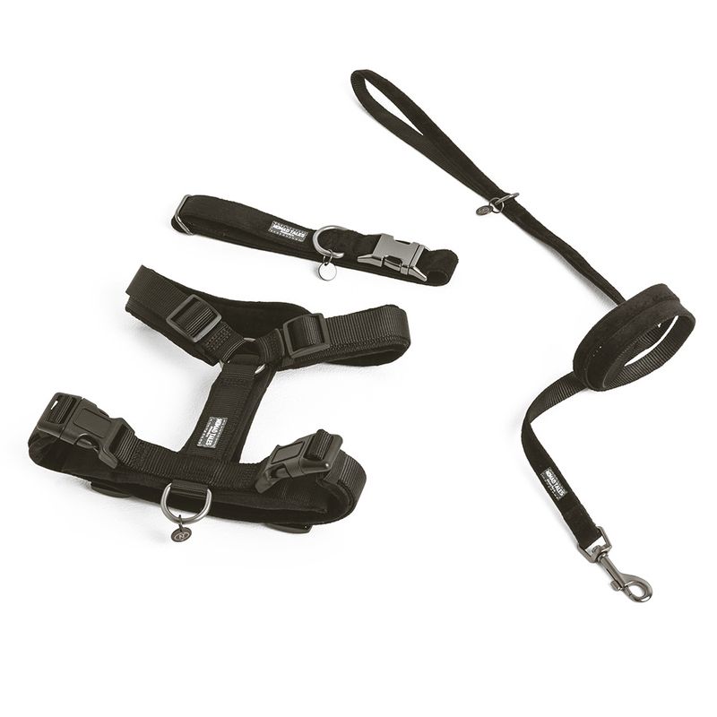 Nomad Tales Blush Dog Leash, ebony 200 cm long, 20 mm wide