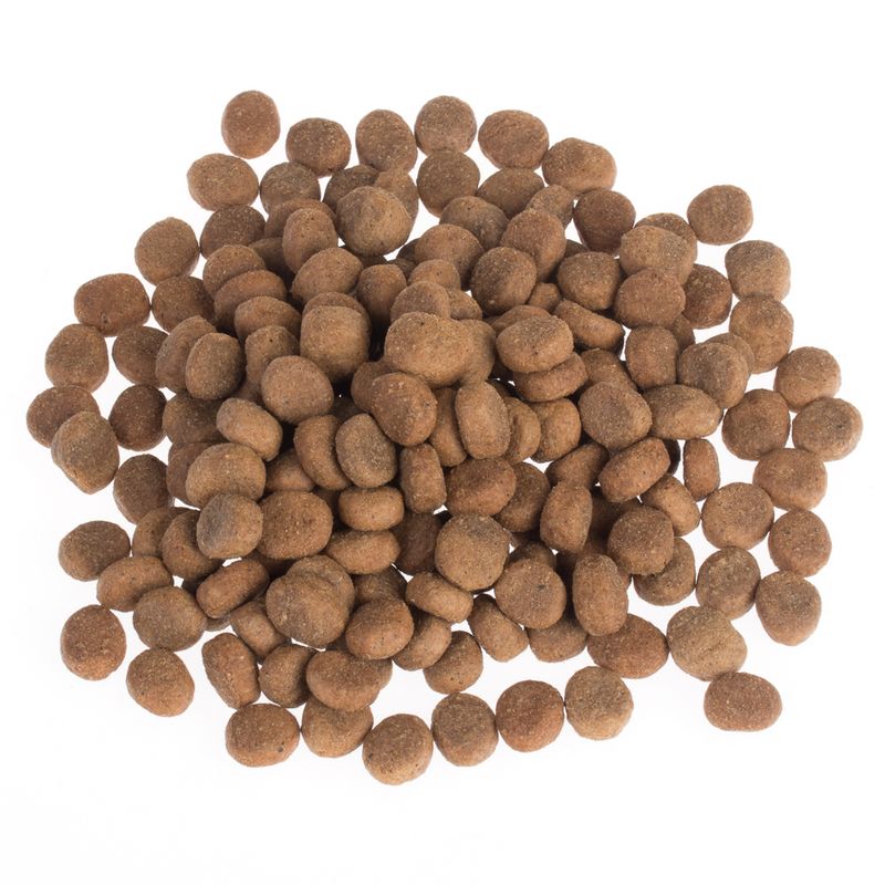 Wolf of Wilderness \