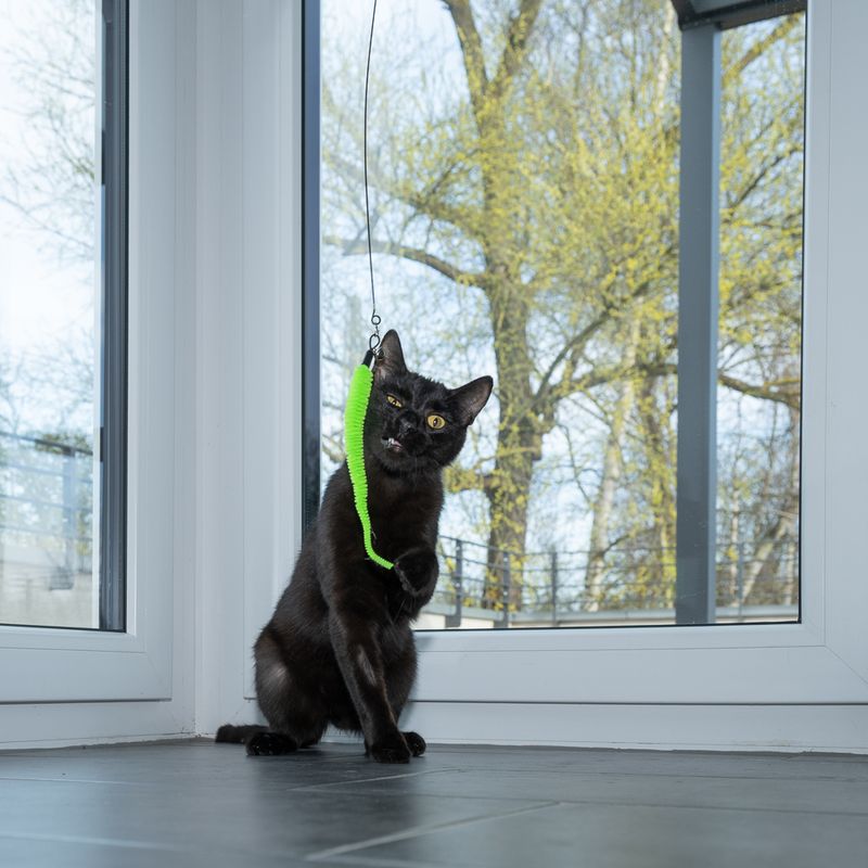 zooplus Basics 4-in-1 Interactive Cat Toy Dangler (95cm), 4 Attachments (each 15cm)