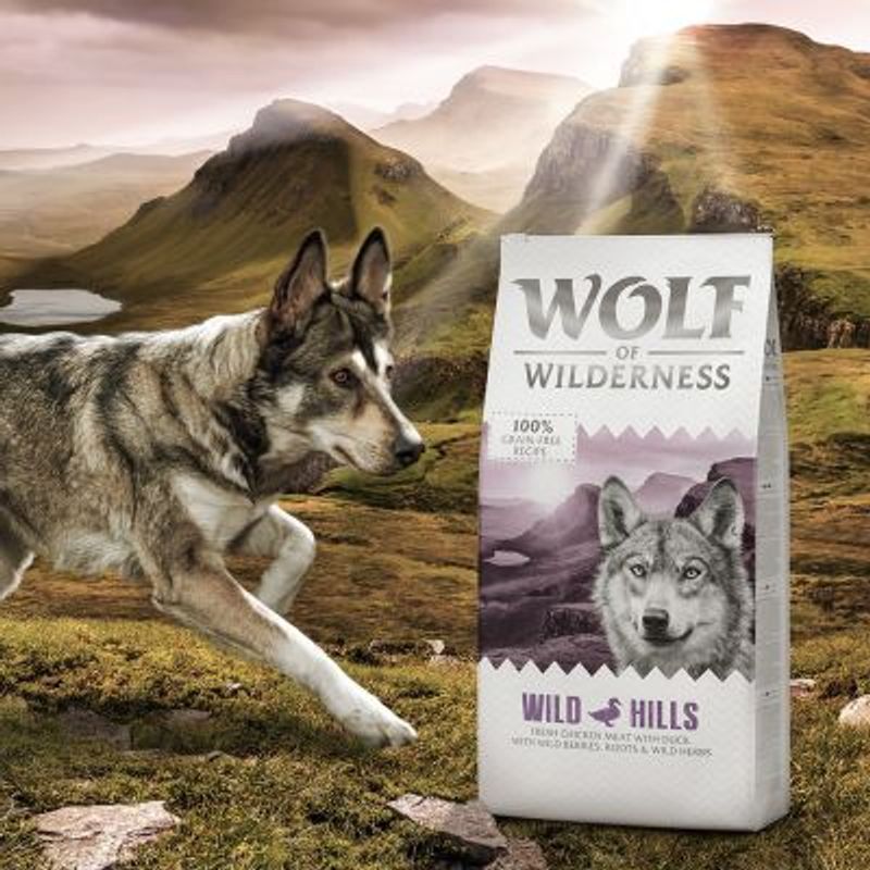 Wolf of Wilderness Adult \