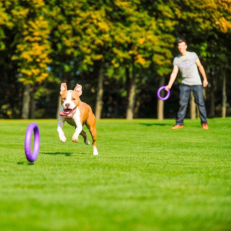 Ferplast Puller Dog Toy Midi: 19cm (Ø)