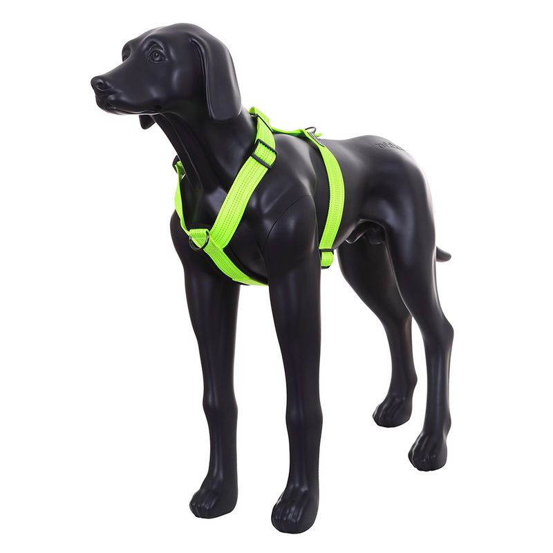 Rukka® Form Neon Harness – Yellow Size M: 65 - 105cm x 40mm (Chest Circumference x W)
