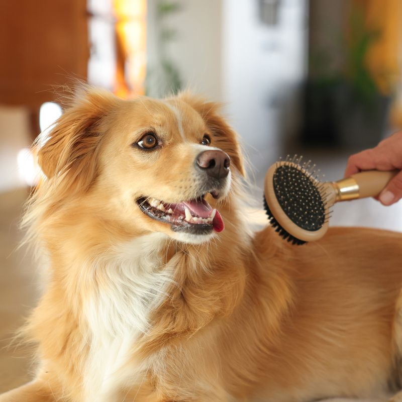 Kerbl MagicBrush Double Brush for Dogs 20 x 10cm (L x W)