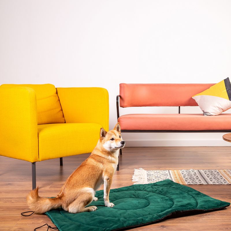 Compass Travel Dog Mat 100 x 70 x 3 cm (L x W x H)