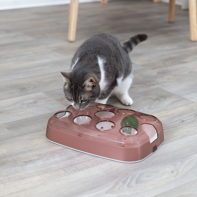 Trixie Cat Activity Soccer 1 Toy