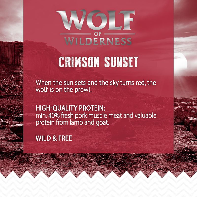 Wolf of Wilderness Adult \