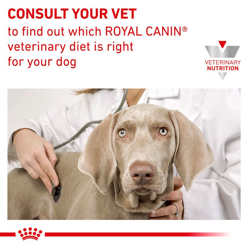 Royal Canin Veterinary Canine Anallergenic 3kg