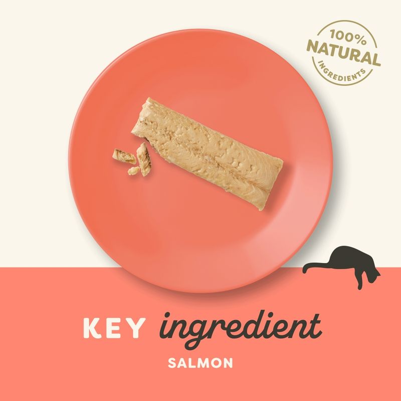 Applaws Cat Salmon Loin 30g