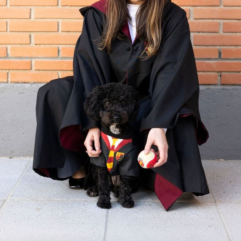 Harry Potter Dog Costume Size S/M: Back Length 35cm