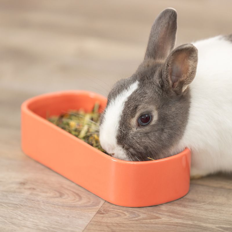 Trixie Ceramic Bowl for Small Animals - Oval 600ml