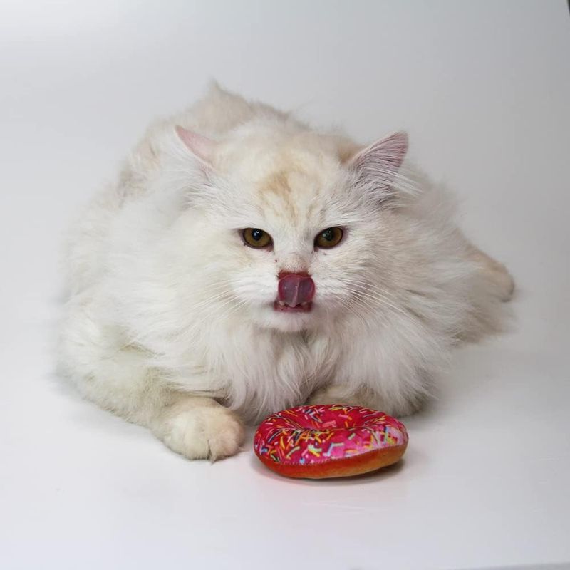 Croci Bakery Street Donut with Catnip 1 toy