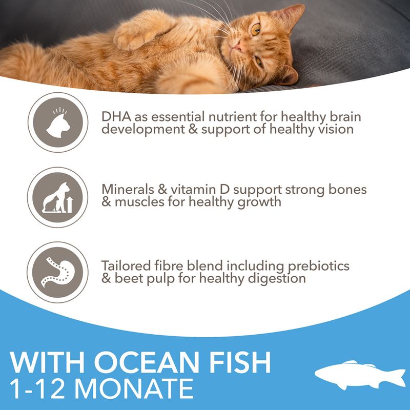 IAMS Advanced Nutrition Kitten with Ocean Fish 10kg