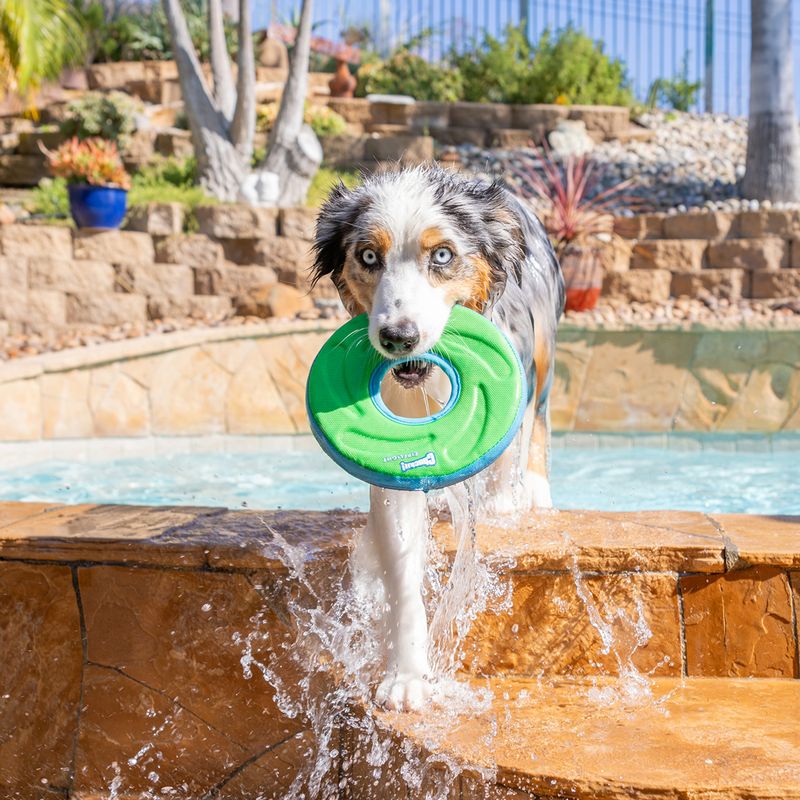 CHUCKIT! Zipflight Dog Toy Size M: 21.6cm (diameter)