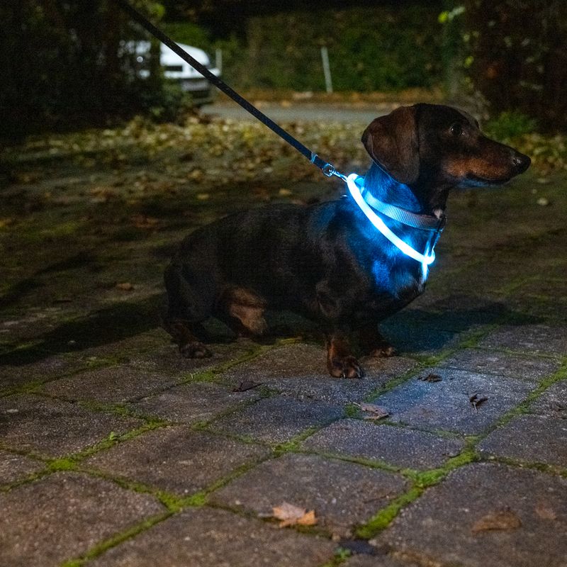 TIAKI Small USB LED Lantern Silicone Collar Turquoise