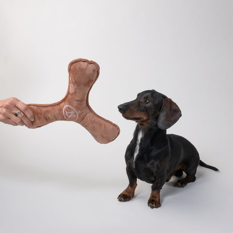 Nomad Tales Blush Plush Boomerang Dark Green