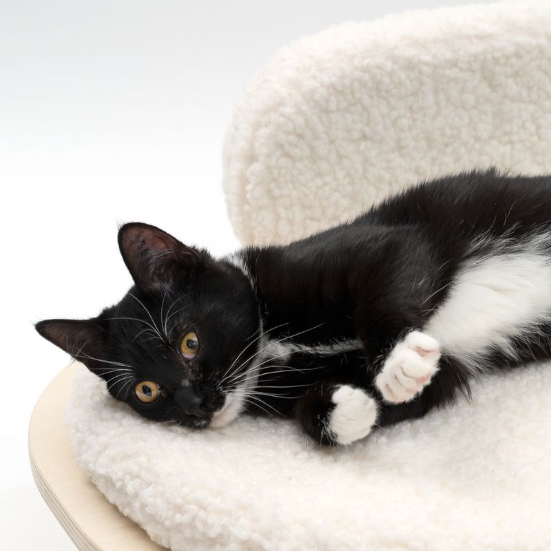 Modern Living Sofa Osaka L 70 x W 50 x H 28 cm