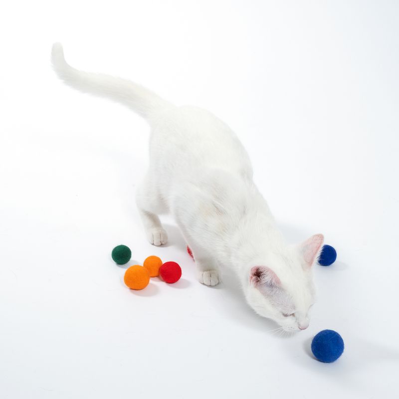 zooplus Basics Felt Balls Cat Toy Set Set of 8 (4 x diameter 4cm, 4 x diameter 3cm)