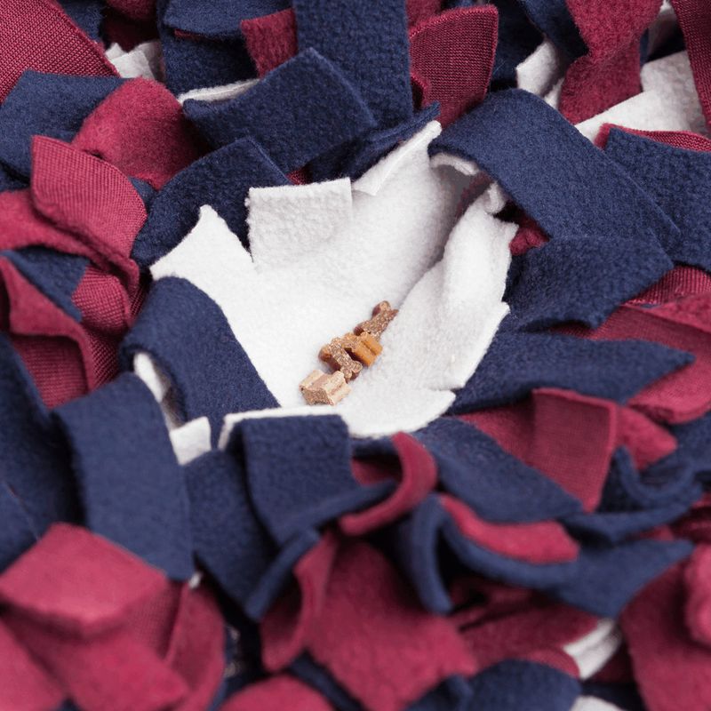 Trixie Activity Sniffer Carpet 50 x 34 cm (L x W)