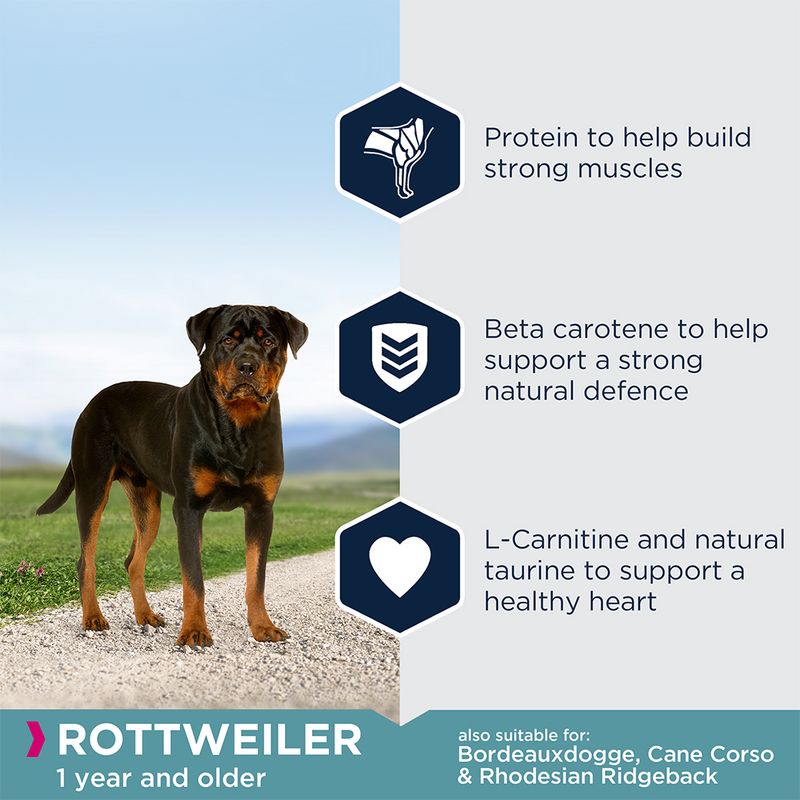 Eukanuba Rottweiler Adult 12kg