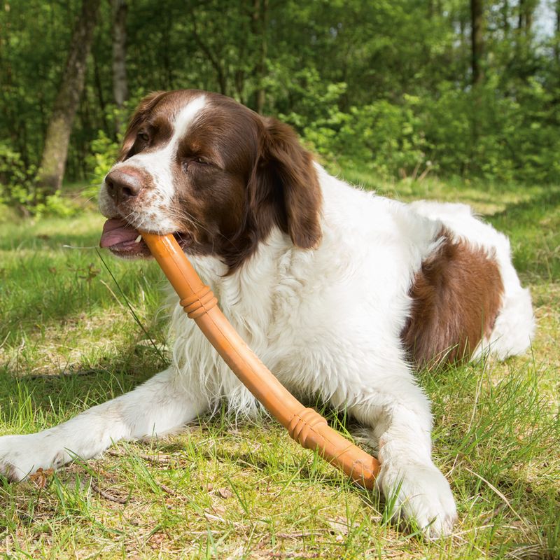 beeztees Sumo Fit Stick Dog Toy 1 Toy
