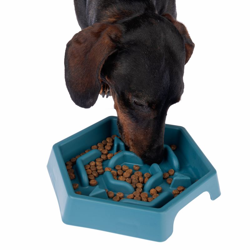 TIAKI Slow Feeder Blue Hexagon 450 ml