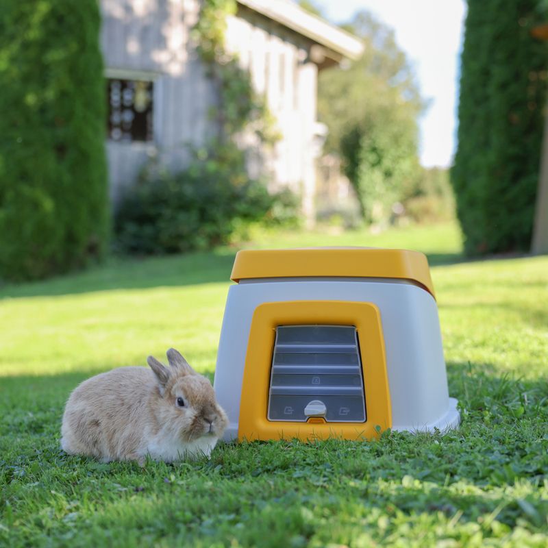 Kerbl Pet Bunny Base Rabbit Hutch 58 x 38.5 x 55 cm (L x W x H)