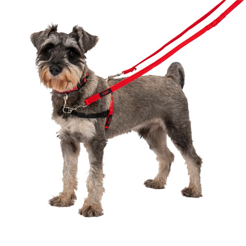 Halti Training Lead Forest Green (200 cm long, 15 mm wide)