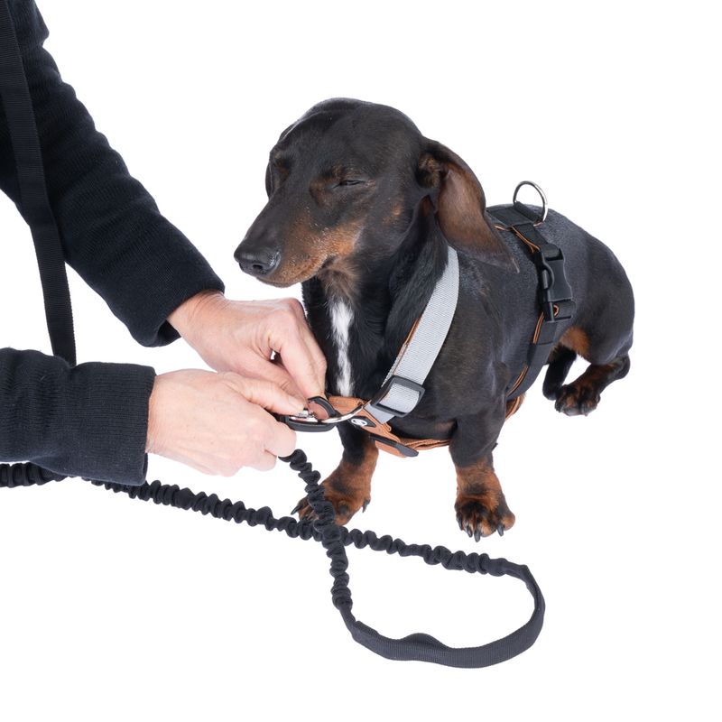 Nomad Tales Spirit Multifunctional Lead 206 - 270 cm long, 20mm wide