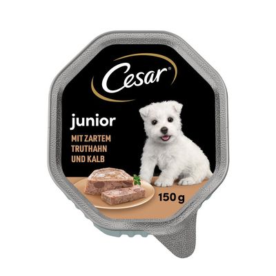 Cesar Junior bowl 28 x 150g With Turkey and Veal