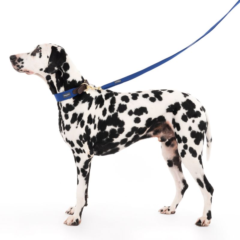 Nomad Tales Bloom Necklace, sapphire Size XL: approx. 52 - 58 cm neck circumference, W 38 mm