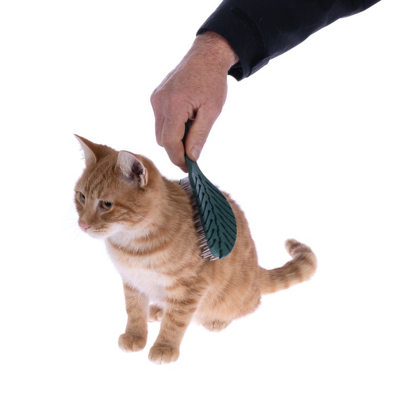 kooa wheat straw detangling brush L 23 x W 7 x H 4 cm