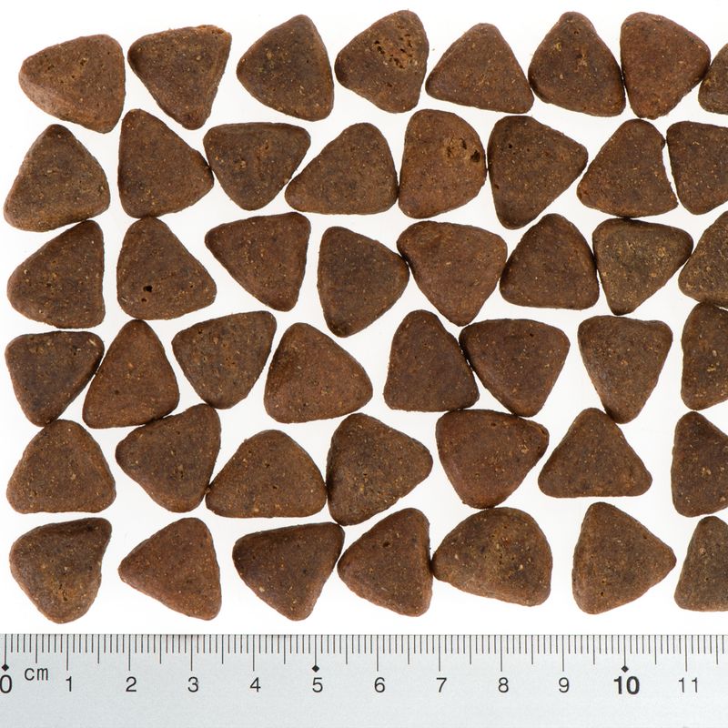 Wolf of Wilderness \