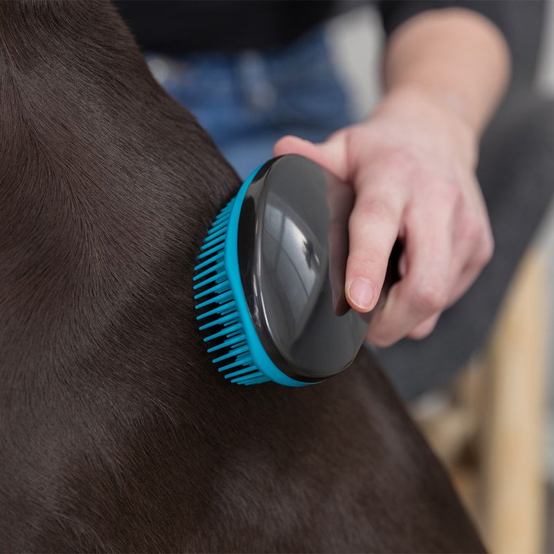 Trixie Soft Brush approx. 19cm (L)