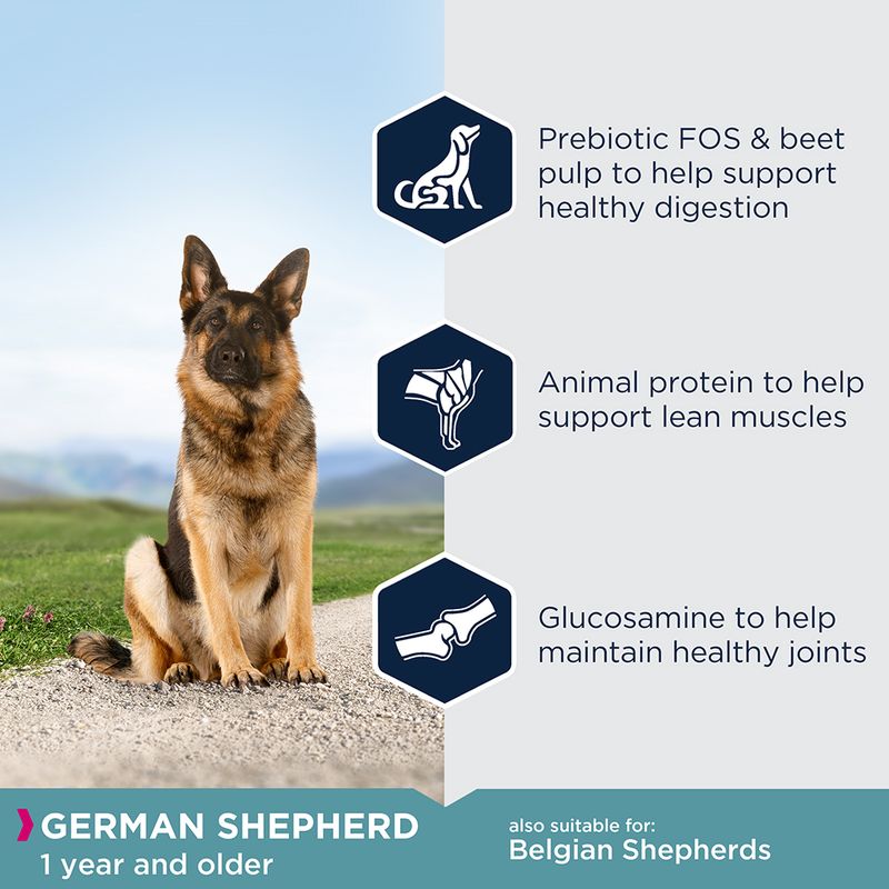 Eukanuba German Shepherd Adult 12kg