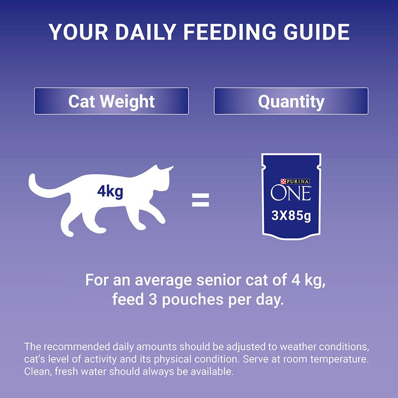 PURINA ONE Senior 7+ with Chicken & Green Beans (26 x 85g)