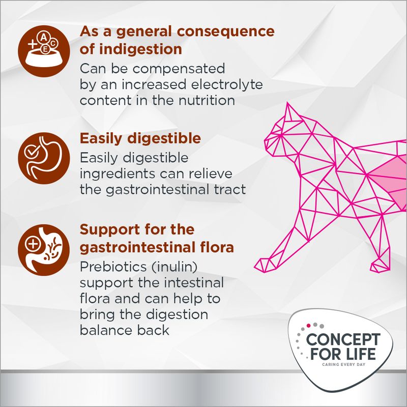 Concept for Life Veterinary Diet Gastrointestinal 3kg