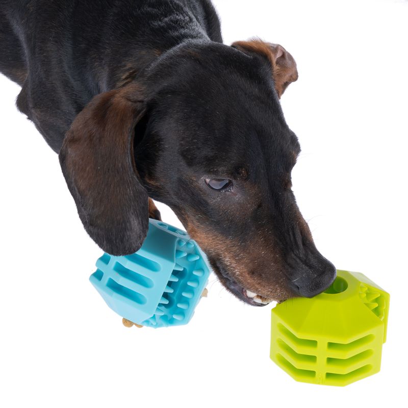 zooplus Basics TPR Snack Ball Set diameter 7cm