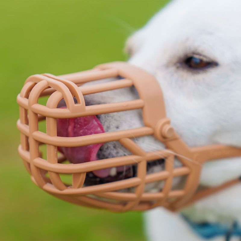 Baskerville Classic Muzzle — Beige Size 5