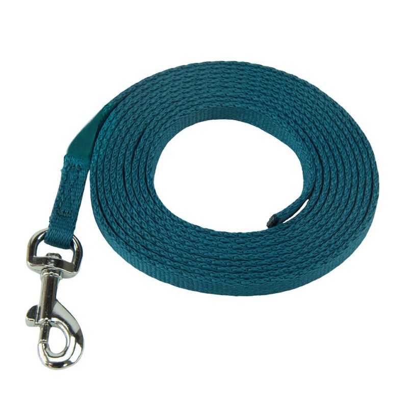 Coachi Puppy & Mini Starter Training Kit Training Kit with Training Lead 2.5m x 15mm (L x W)